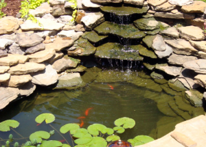 Malaysia Pond Cleaning Services