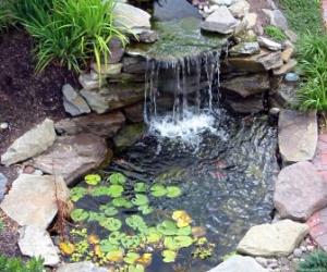 Pond cleaning services in Malaysia